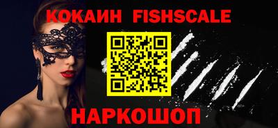спиды Гай