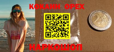 спиды Гай