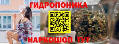 спиды Гай
