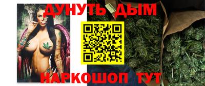 спиды Гай