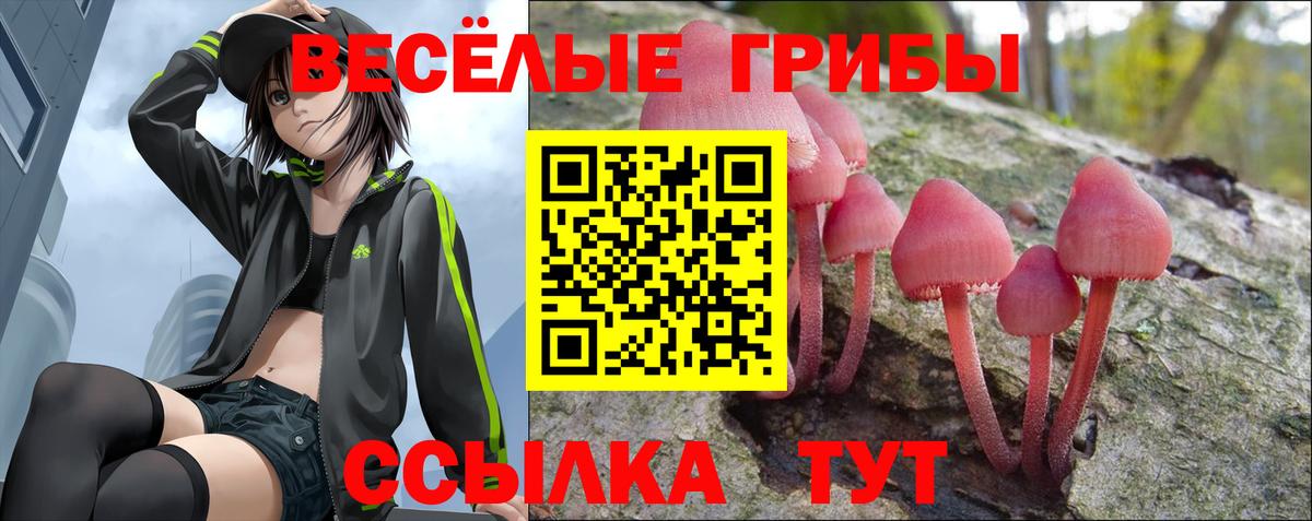 Галлюциногенные грибы Cubensis Саратов